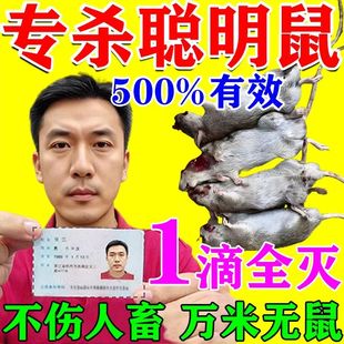 老鼠药水剂特效强力养殖场商家用驱鼠剂母液化工耗子神器