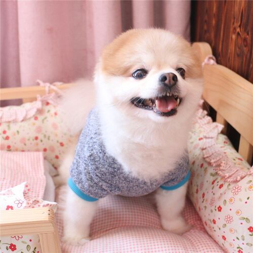 好货Footprint Sweater Fashion Pet Dog Clothes Cute Clothings