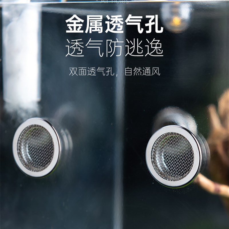 宠物蜘蛛昆虫压克力饲养盒螳螂螽斯迷你爬虫生态盒玲跳蜘鸣虫盒子