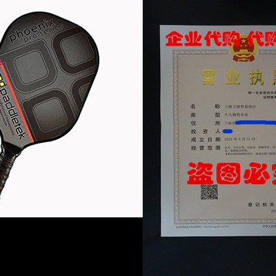 Paddletek Phoenix Pro Pickleball Paddle