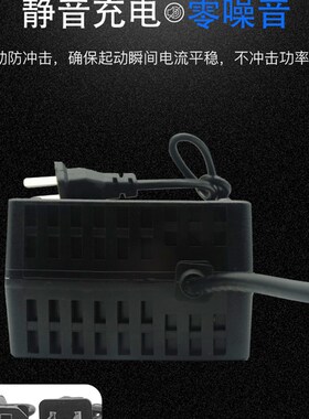 电动车摩托车汽车电瓶充电器12v12ah24v20ah36v30ah40a轮椅代步车
