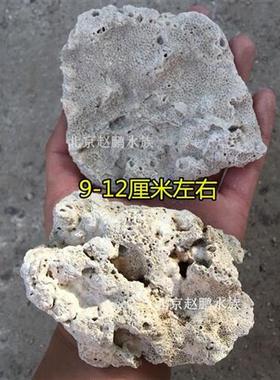 天然造景珊瑚石珊瑚骨底沙过滤大块提高PH滤材净水海水沙