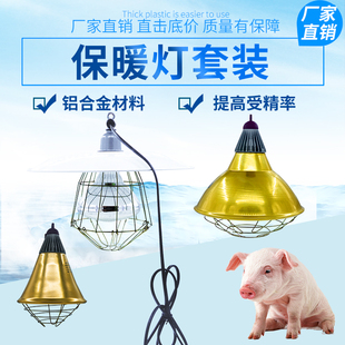 仔猪保温箱灯育雏鸡苗取暖灯泡灯罩可调温度加热小鸡猪养殖带线罩