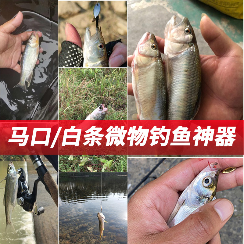 裴钓不伤线瓜子亮片套装绑好马口白条飞蝇钩钓组助投器路亚饵假饵