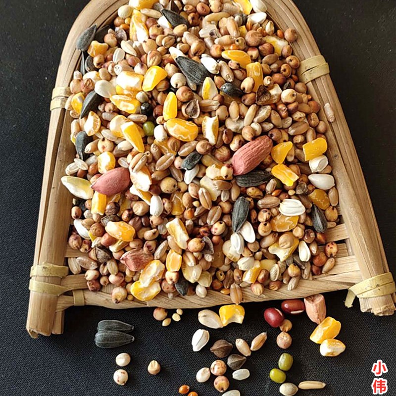 5斤优质鸽粮无豌豆幼鸽子粮鸟食赛飞营养饲料信鸽肉鸽观赏鸽仓鼠