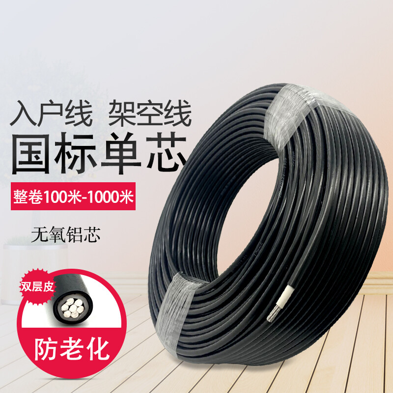 国标户外铝芯电缆6/10/16/25/35平方老化铝线室外架空家装电线1X