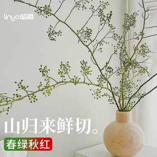 山归来鲜切花蔷薇果干枝条水培植物室内鲜花家用插花客厅绿植水养