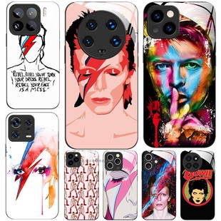 David Art 12S PRO 12X Bowie 玻璃手机壳适用小米15 ULTRA