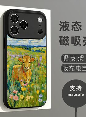 磁吸硅胶壳适用苹果个性潮流