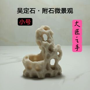 吴定石吸水石上水石捕虫堇菖蒲苔藓盆附石盆假山石雕绿植观赏摆件