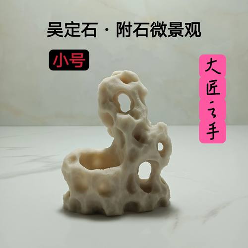 吴定石吸水盆景捕虫草苔藓工艺品