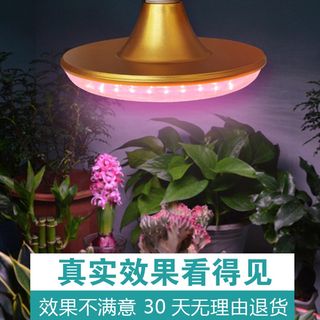 网红全光谱led多肉补光灯家用室内绿植上色灯仿太阳光大棚植物生