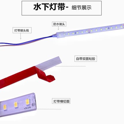 网红12V24V防水LED灯带条水下灯条泡水泳池公园音乐喷泉户外用可