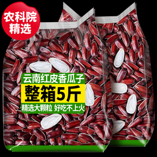 农科院2025新货红皮瓜子云南特产原味大颗粒葵花籽生瓜子年货批发
