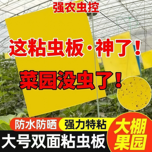 黄板双面粘虫板大棚诱果蝇