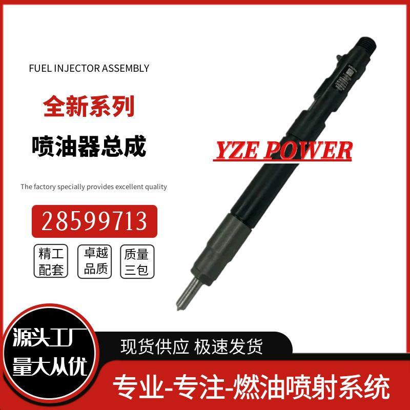 28599713共轨柴油喷油器1100100XED95适用于德尔福4D20M发动机