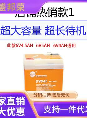 工厂直销6v5ah64晟电子秤450SY5之4SY捐蓄电池阳TZ通用伏吊唐电瓶