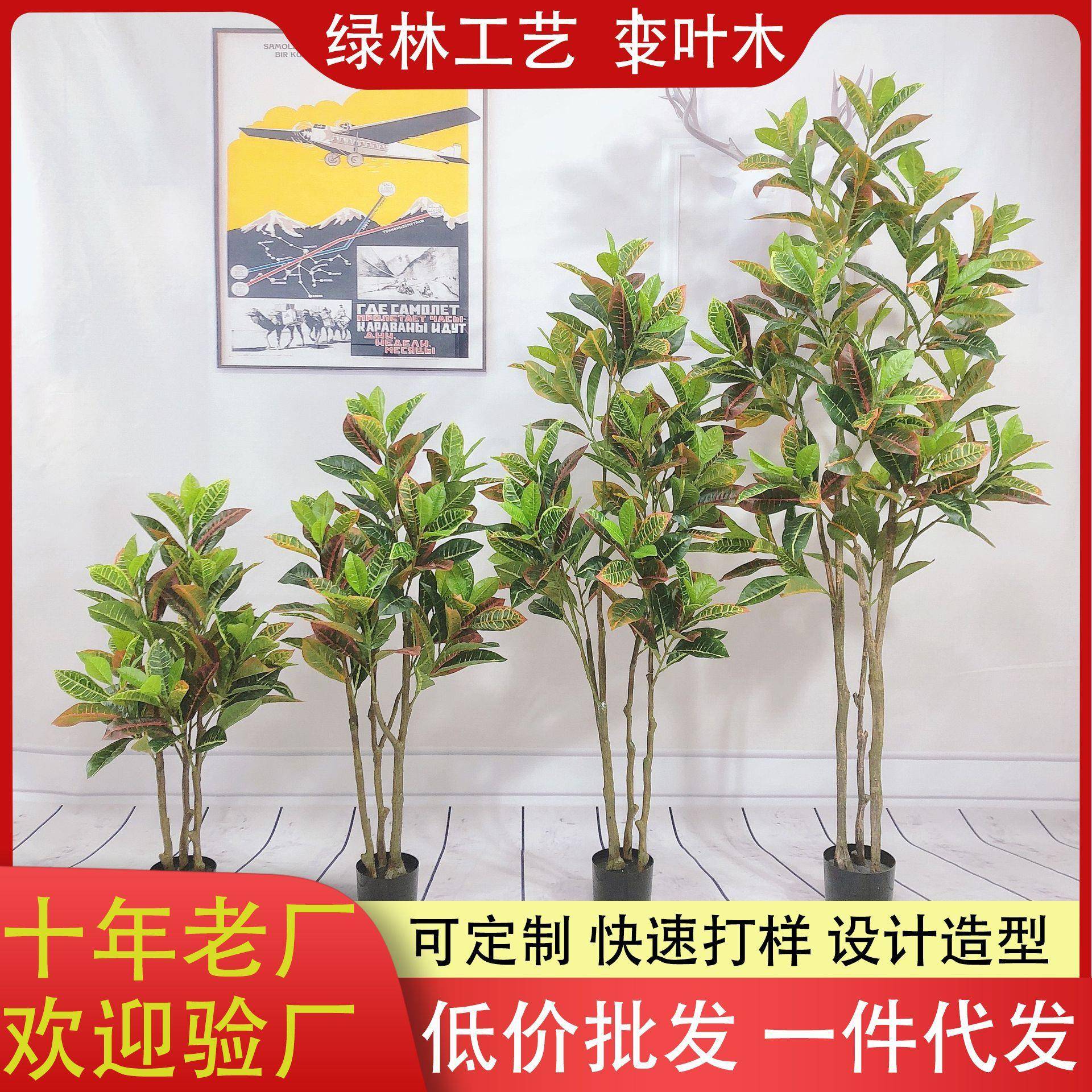 仿真洒金榕庭院室内外绿化假盆栽假盆景人造洒金榕盆栽绿植变叶树