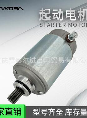 启动电机228000-9810SND0482适用于Traxter500Max500马达