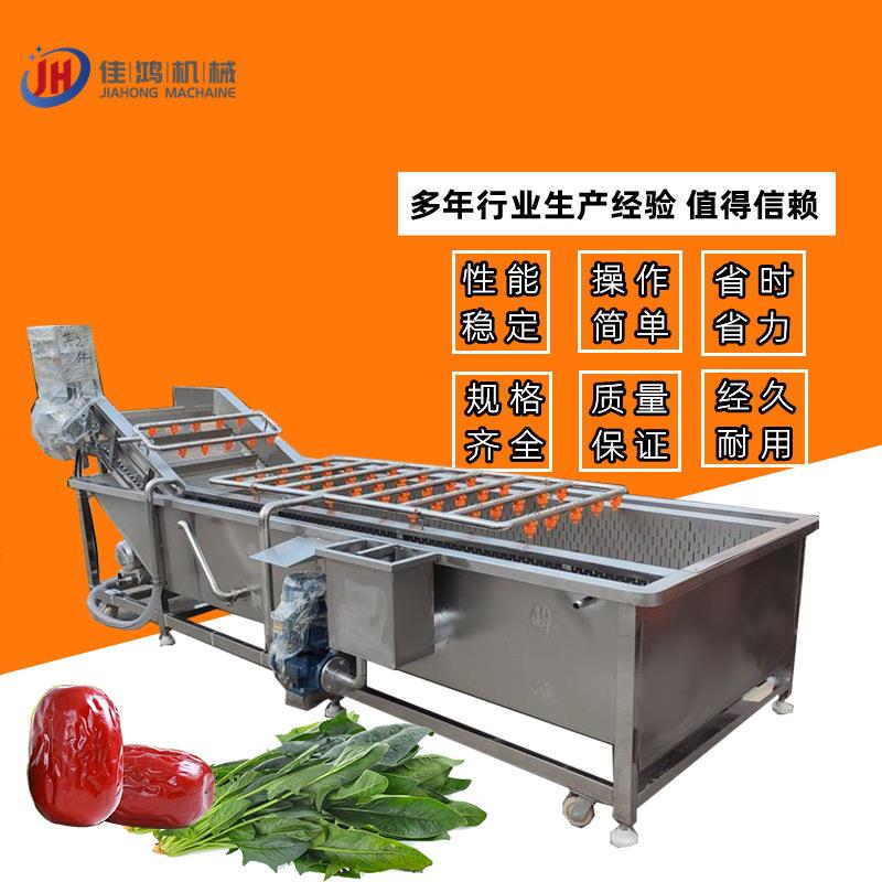 大型菌菇清洗机全自动蔬菜气泡清洗机多功能蔬菜清洗菜机佳鸿
