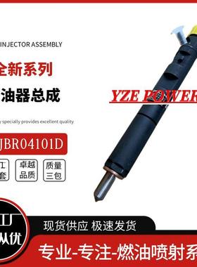 EJBR04101D柴油共轨喷油器8200553570R04101D适用于德尔福雷诺