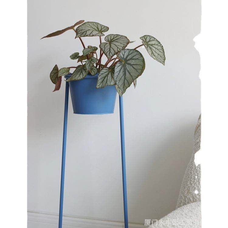 普鲁士蓝色花架室内极简约可移动设计阳台花盆客厅现代铁艺,鲜花速递/花卉仿真/绿植园艺,花架,淘宝优惠券,粉丝福利购,淘宝优惠卷