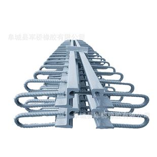 公路桥梁伸缩缝C40多向变位梳齿板型伸缩缝异型钢模数式 置 伸缩装