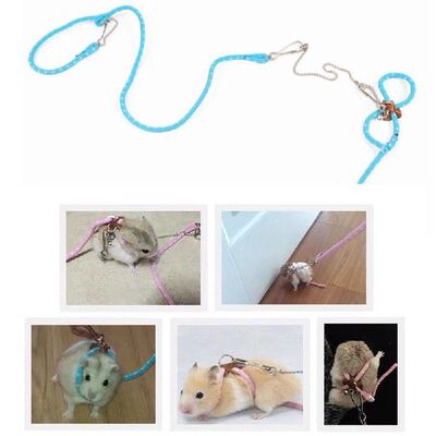 极速Adjustable Parrot Bird Harness Leash Anti-Bite Training