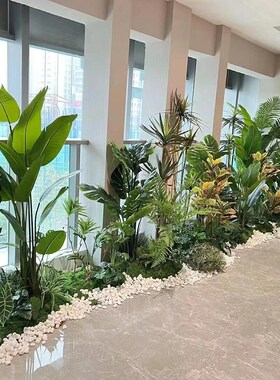 速发配植造景苔藓球景观软生搭绿摆件室内外绿色蕨类落地仿装植物