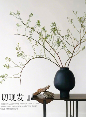 速发同归鲜鲜切水培植物蔷薇果速递山城室内家用水养来枝花卉绿植