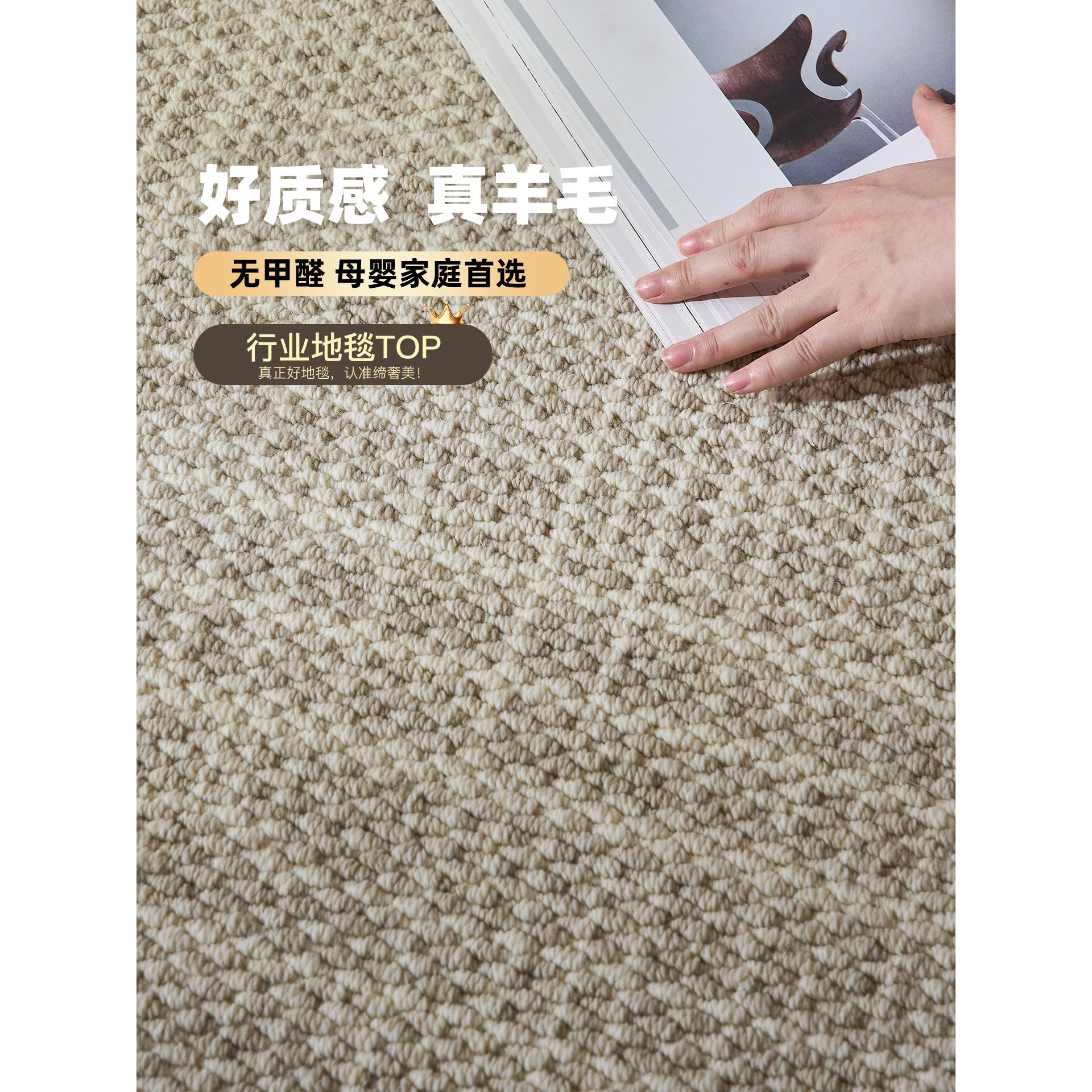 进口纯羊毛地毯轻奢高级感客厅卧室现代简约纯色茶几毯地垫侘寂