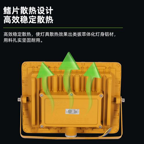 LED亚明防爆投光灯泛光灯100w200w应急灯防腐防爆加油站仓库厂房