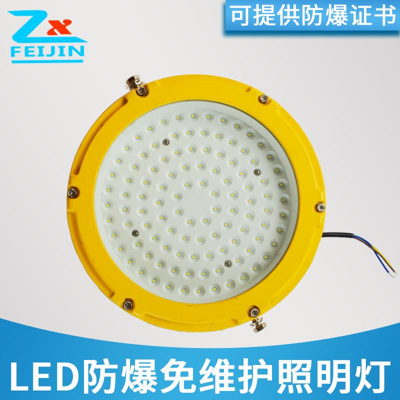 化工厂车间照明投光灯加油站圆形LED防爆灯50W100W150W防爆泛光灯