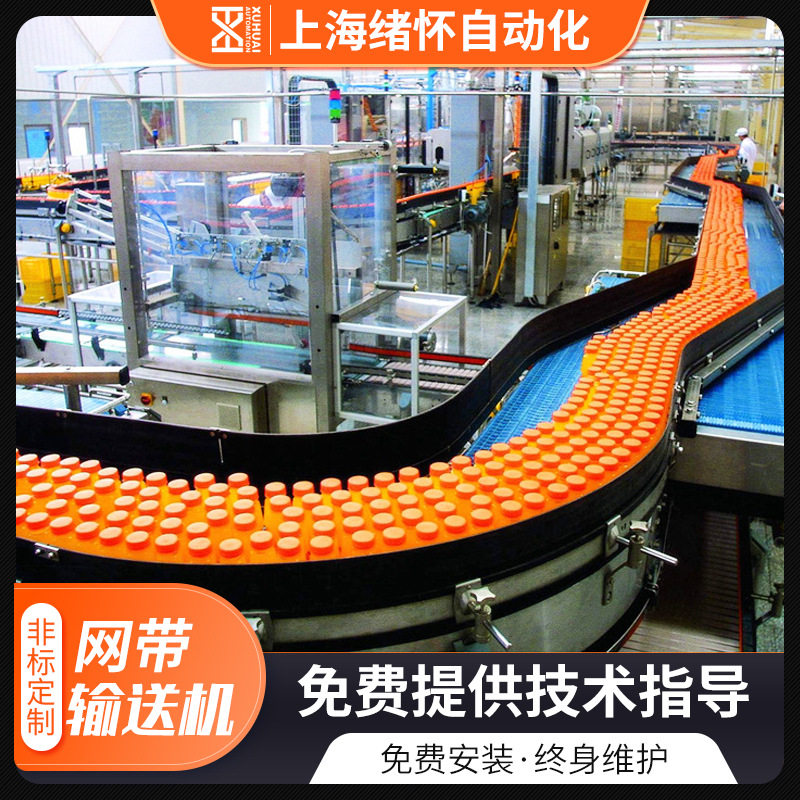 上海厂家塑料网带输送线塑料网带链板瓜果蔬菜清洗机环形转弯网