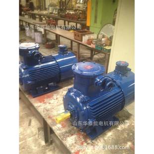 30KW电机防爆多速应用 衡水电机替代衡水防爆电机衡水YBD 250M