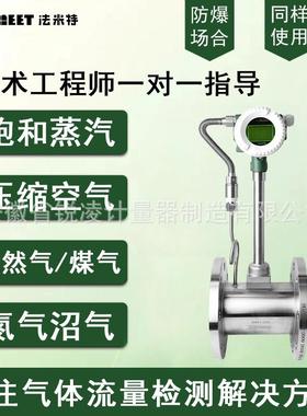 导热油压缩空气流量表液体蒸汽温压补偿流量计管道式涡街流量计