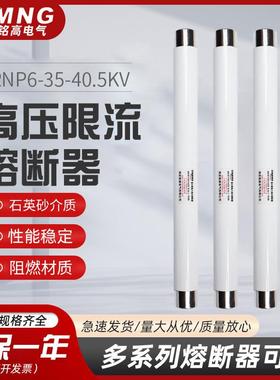 互感器保护用高压限流熔断器XRNP6-35-40.5KV户内PT保险管0.5A1A2