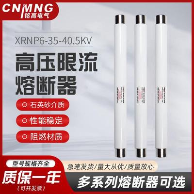 互感器保护用高压限流熔断器XRNP6-35-40.5KV户内PT保险管0.5A1A2