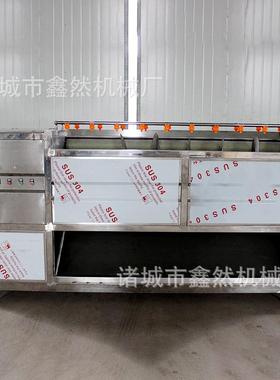 供应土豆红薯大姜马蹄猪蹄猪头毛刷清洗机不锈钢材