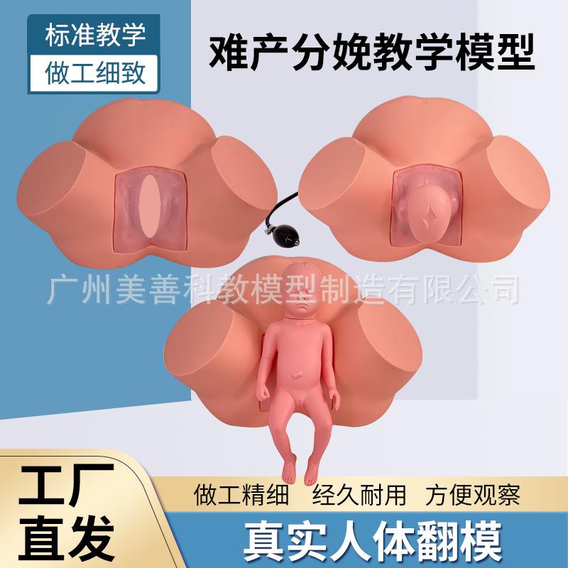 分娩示教模型高级难产示教训练模型妇产科难产助产分娩教学模型