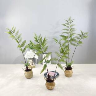 仿真猴头蕨金丝蕨蕨类家居室内装饰造景仿真绿植盆栽假植物