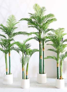 仿真绿植高端轻奢散尾葵植物盆栽客厅凤尾竹仿生大型假树装饰造景