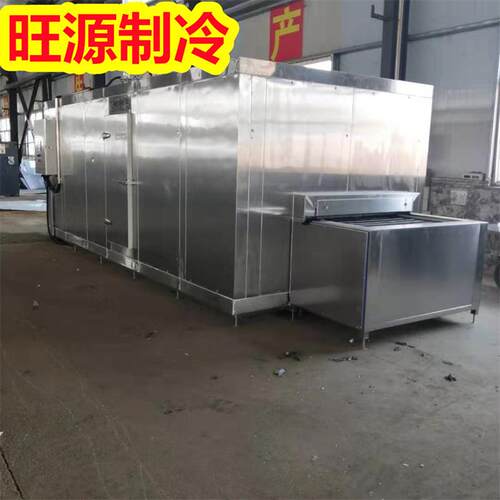 旺源麻辣小龙虾低温速冻设备隧道速冻机保鲜效果好口感好