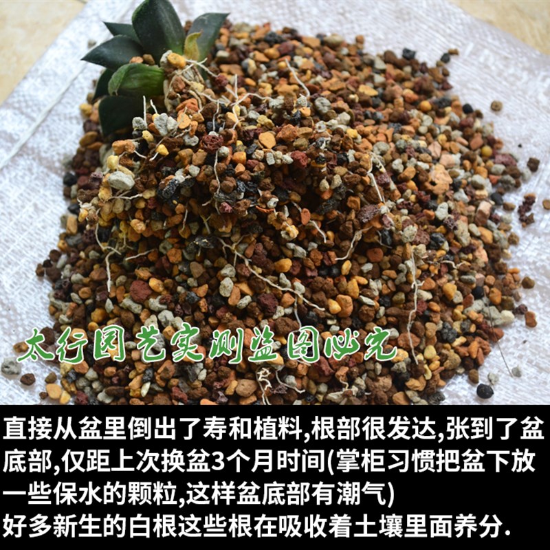 推荐多肉纯颗粒玉露十二卷专用配方土万象寿玉扇生石花屁屁肉锥营