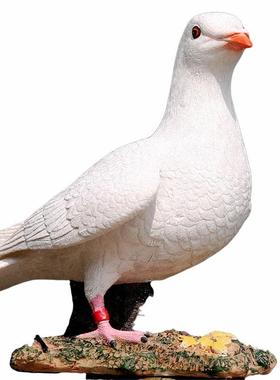 花园庭院装饰动物白鸽子摆件创意家居道具树脂鸟类家居模型工艺品