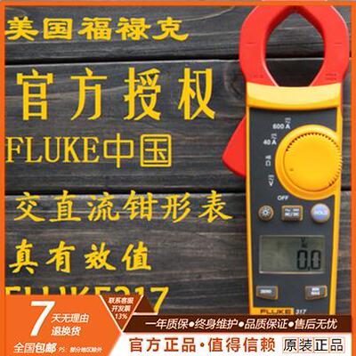 福禄克FLUKE317交直流钳形表F312 F317/F319电流表FLUKE319