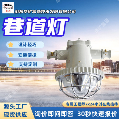 耐腐蚀LED巷道灯 DJS45/127L(A)矿用隔爆兼本安型LED巷道灯