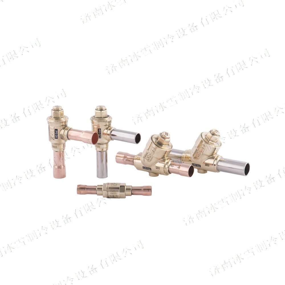 Castel卡士妥止回阀3187EW/11直角式止回阀,ODS铜制加强接头(k65)