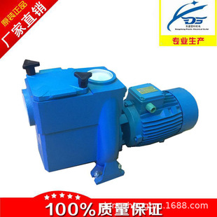 TYLO帝夢牌铸铁泵泳池水泵 帝梦泳池循环过滤3HP铁泵游泳池设备厂