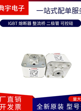 熔断器170M6426  6435  6458  6459   6460  6461  6462型号齐全